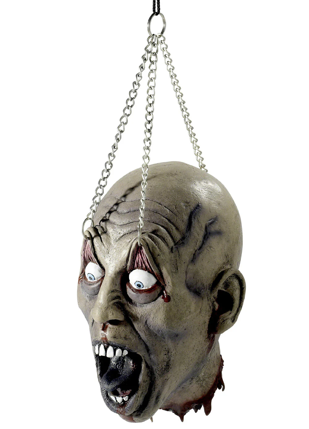 Dismembered Head