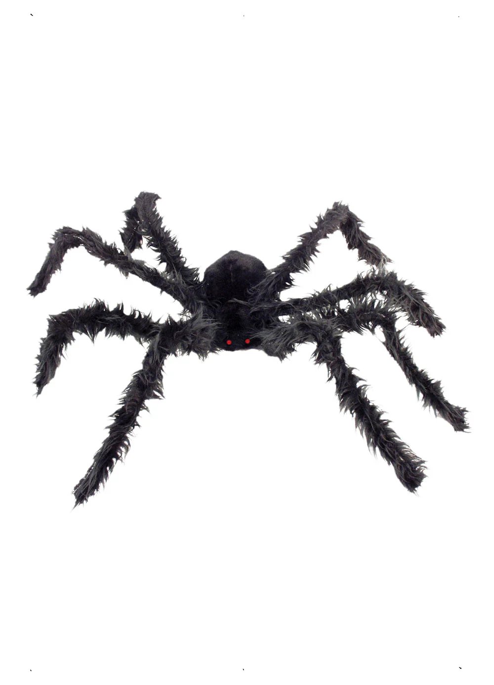 Giant Hairy Spider