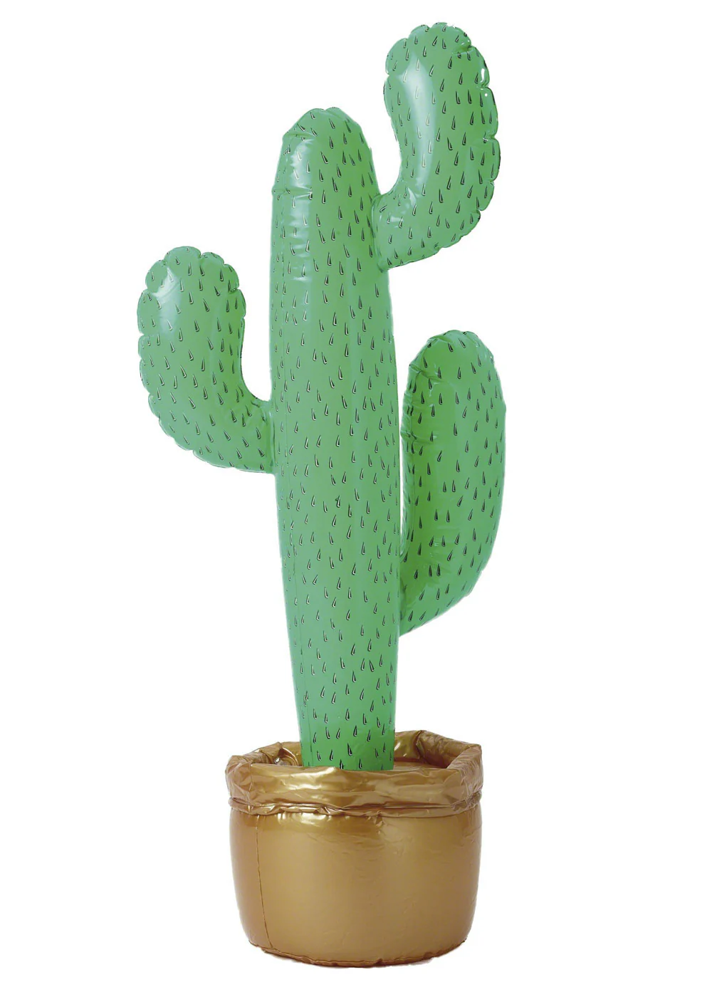 Inflatable Cactus