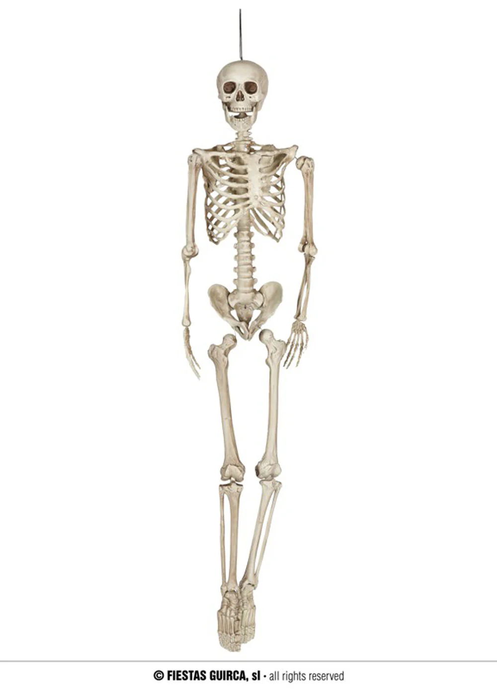 Skeleton Decoration