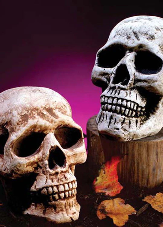 Skull Head