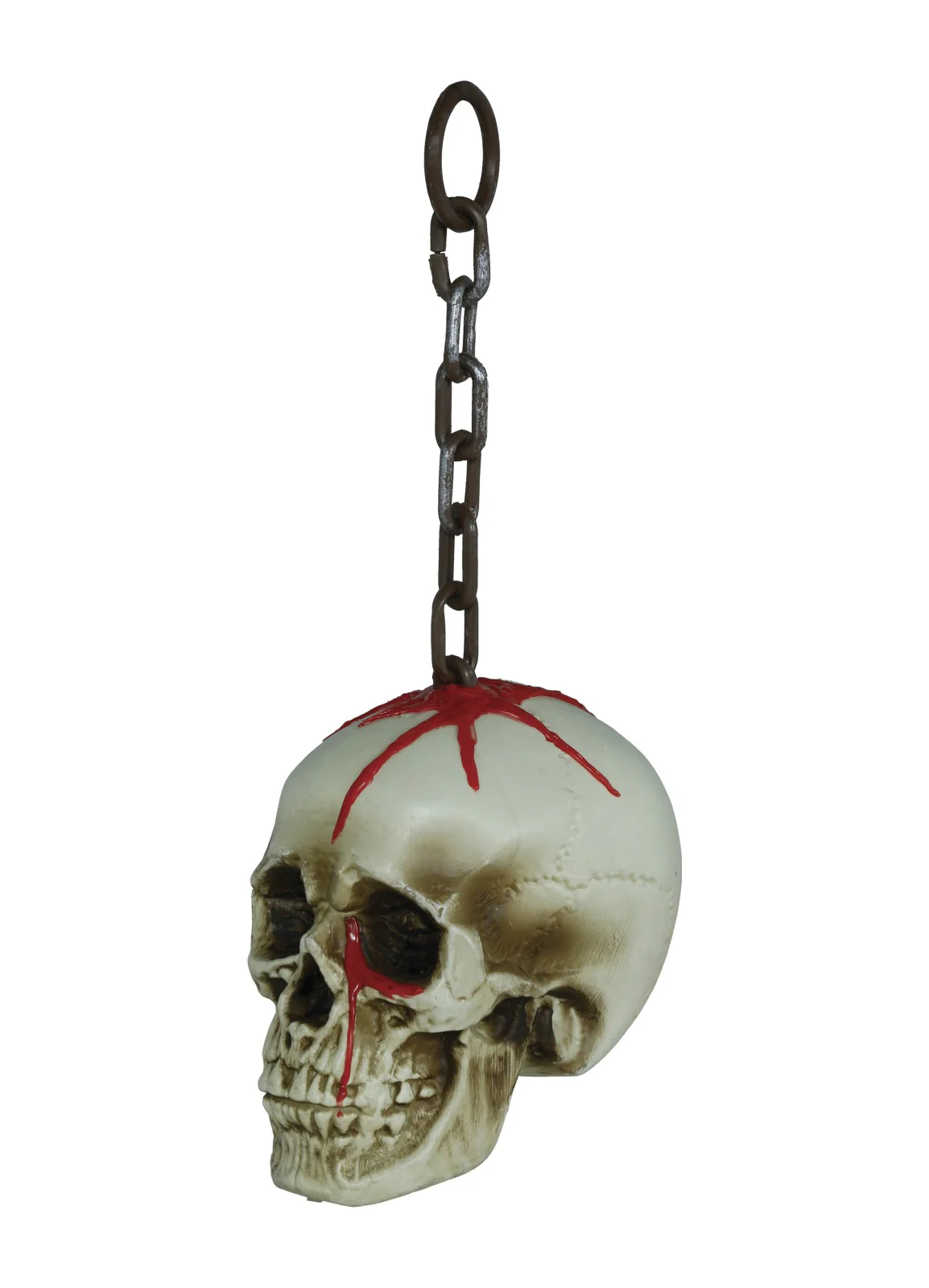 Skull with Chain - Image 2