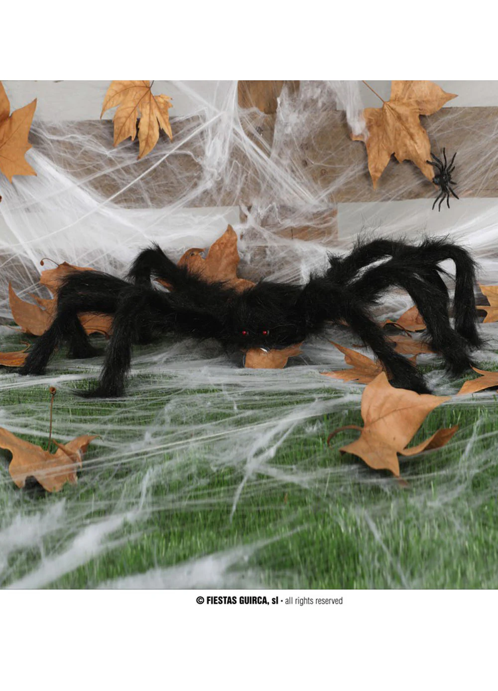 Spider Decoration