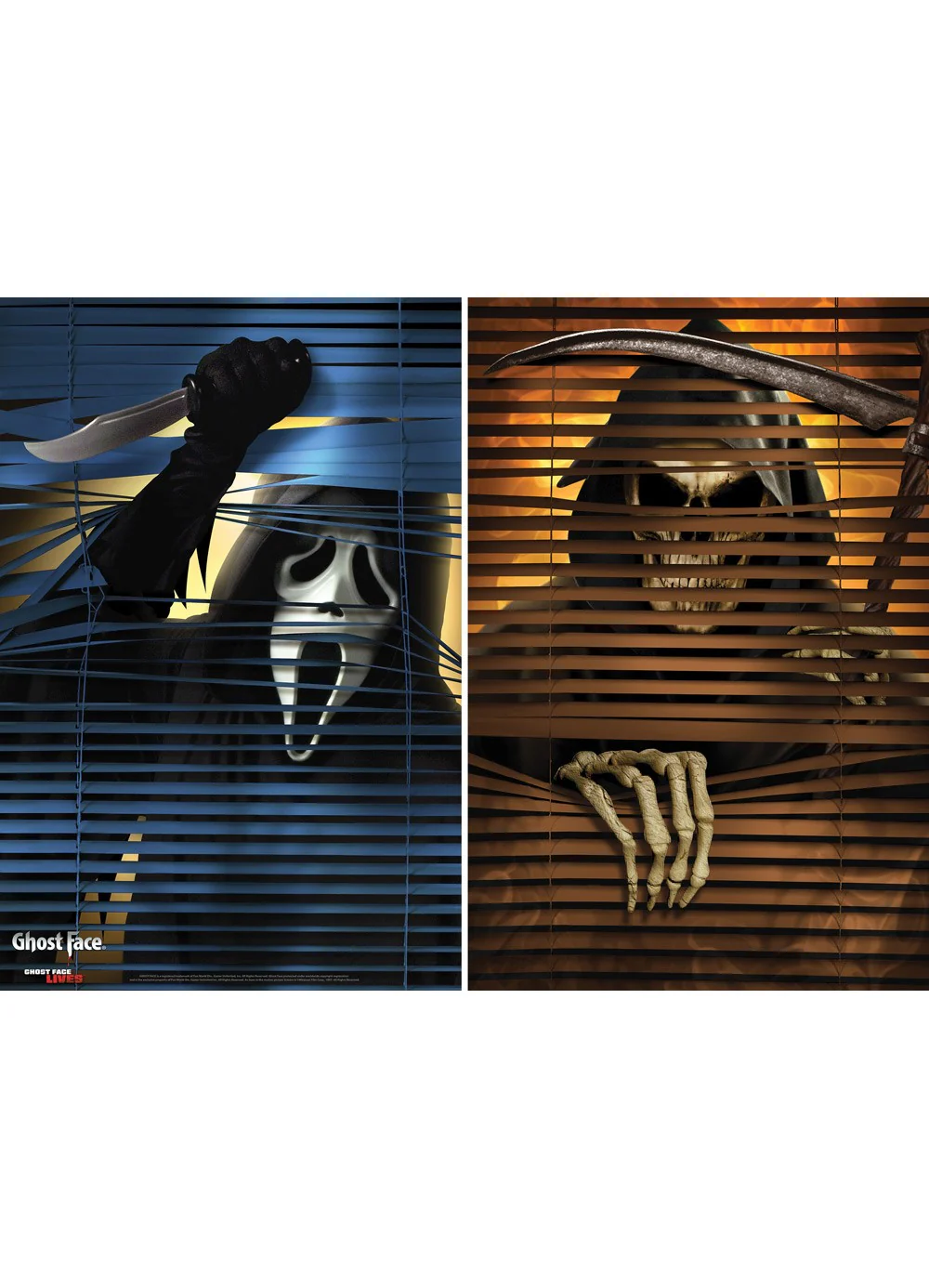 Window Creeper Decoration
