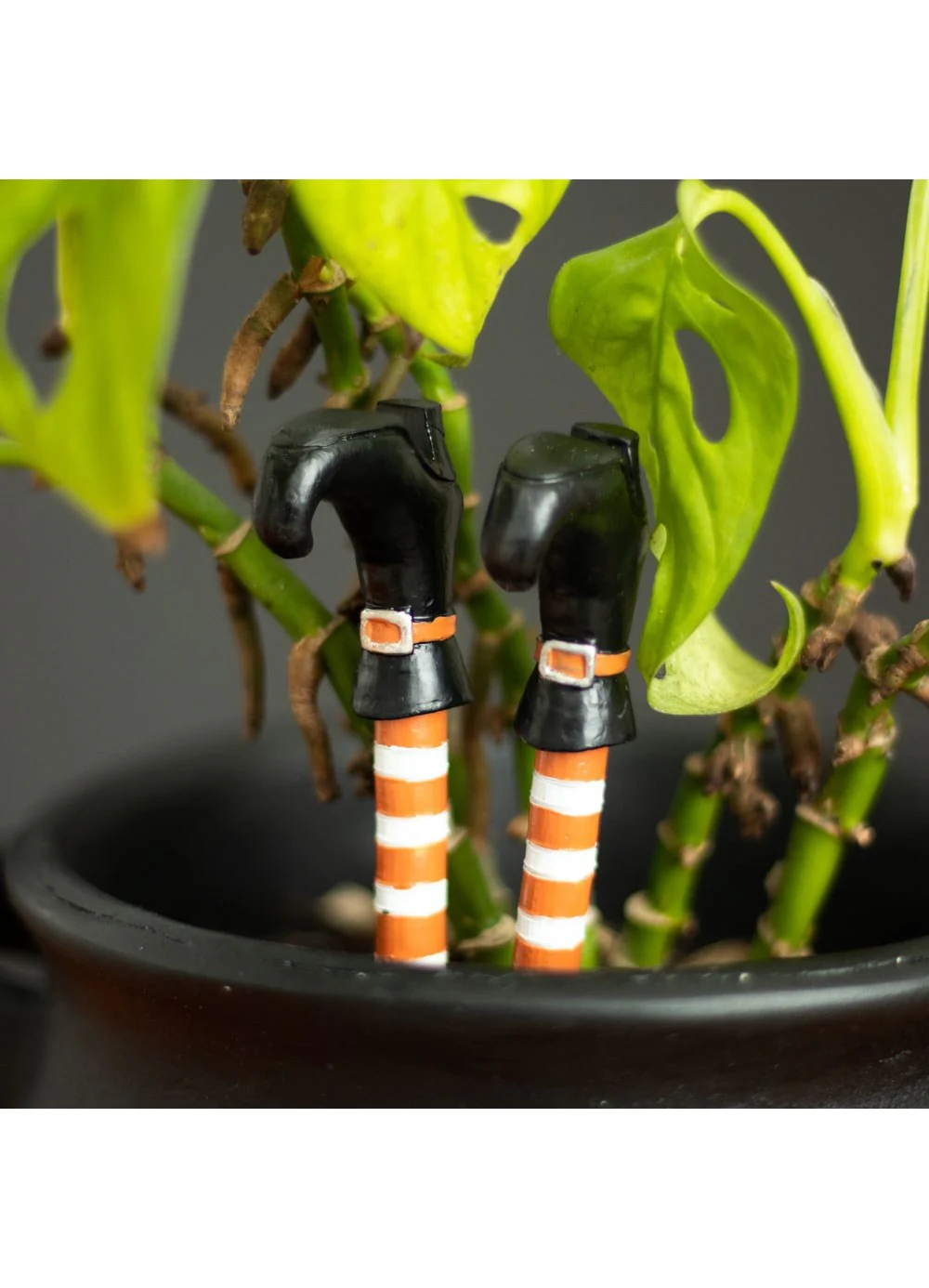 Witch Leg Plant Pot Ornaments